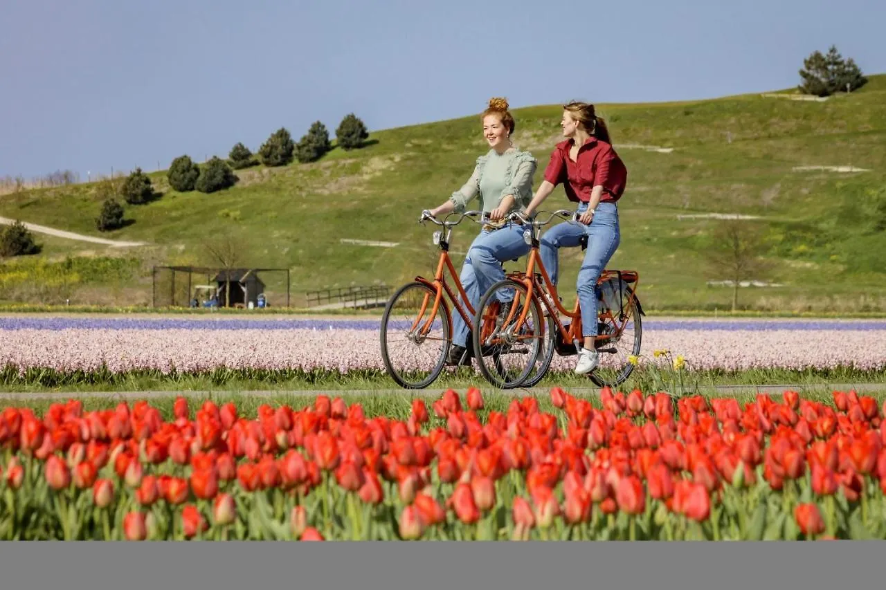Zuidwest Zeven Free Parking! Bed & Breakfast Zandvoort 0*,
